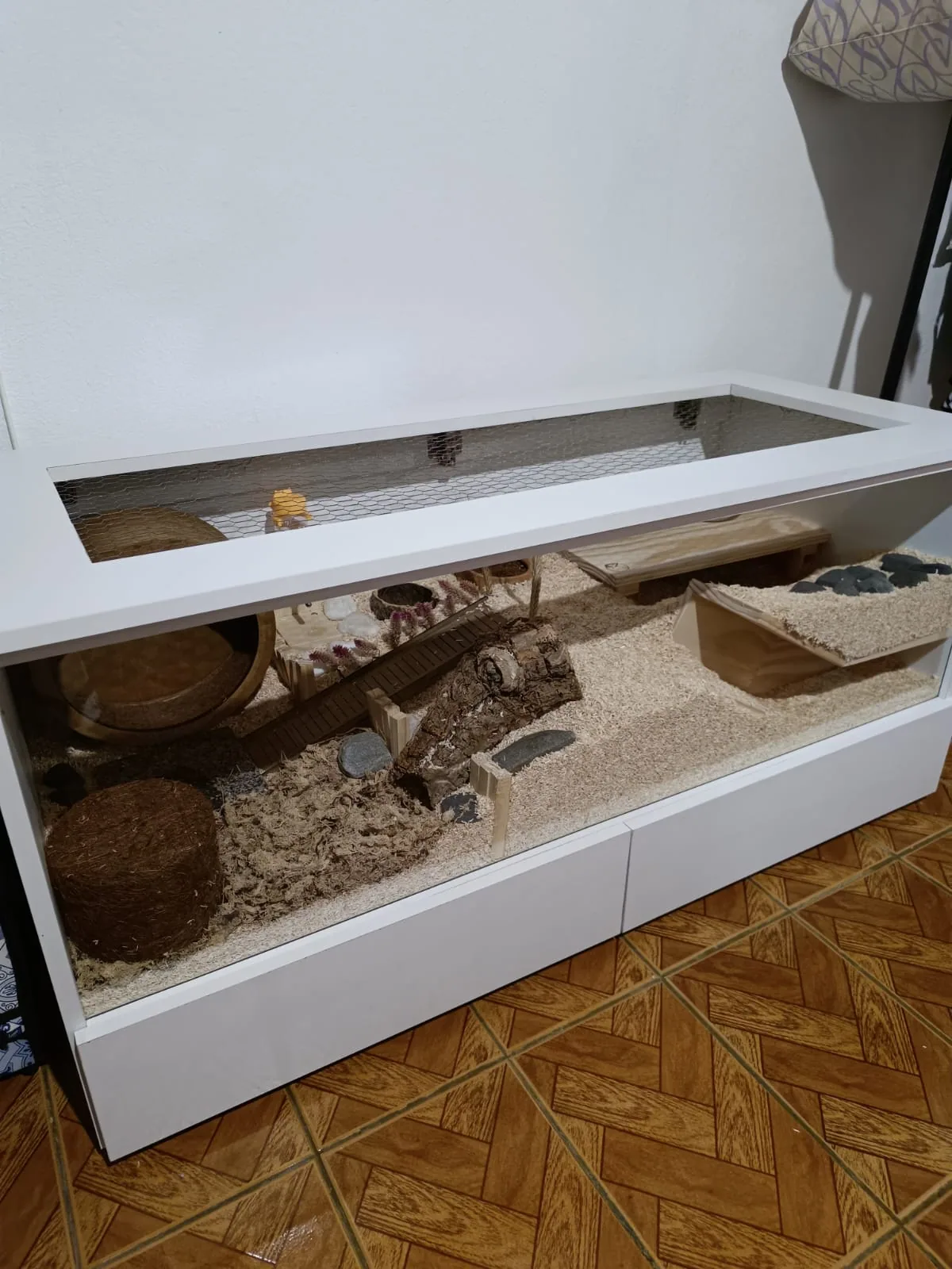 Therrário White em ambiente doméstico — visão completa do habitat montado